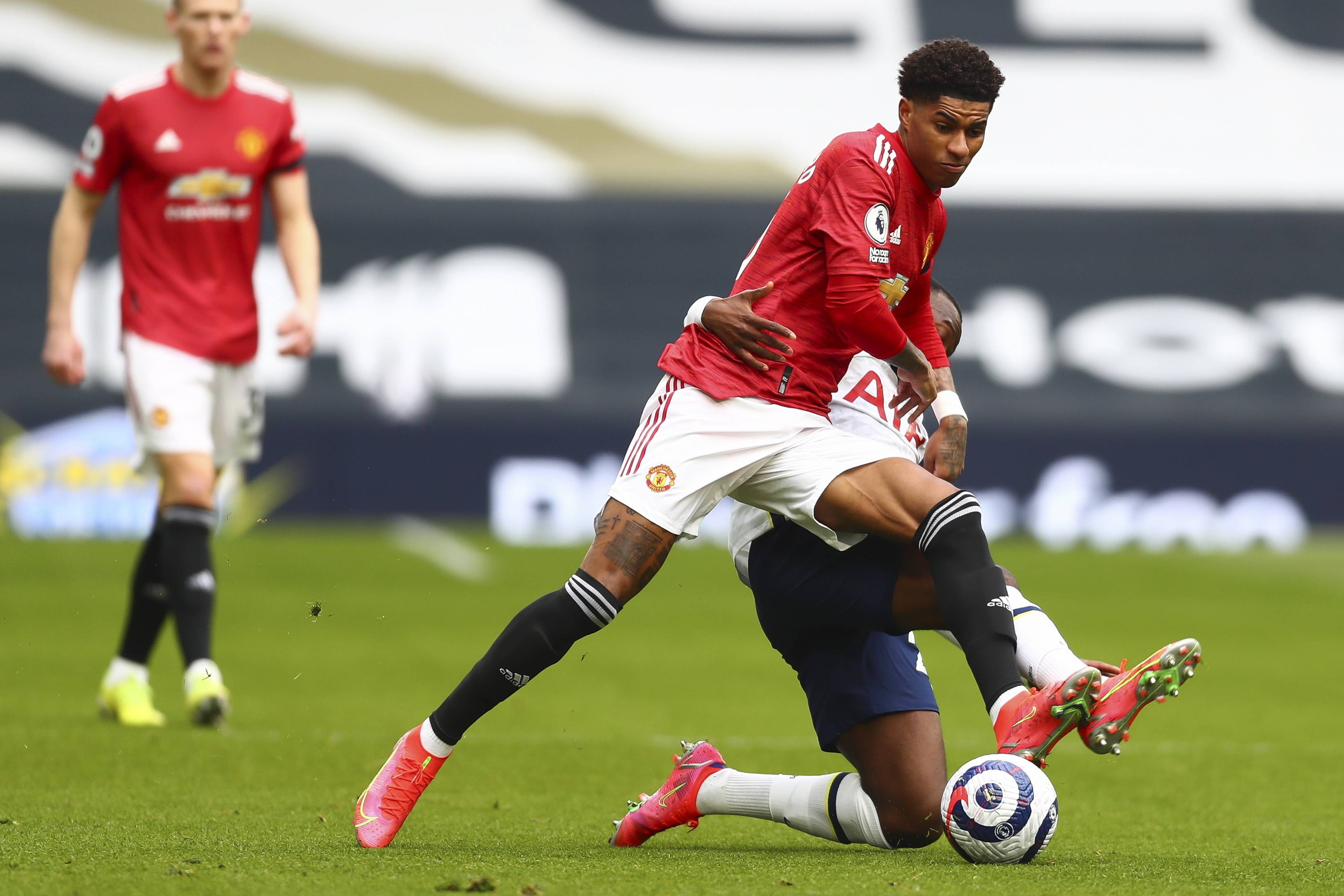 现出了极高 现出了极高